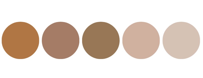 Color Palette